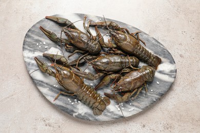 Fresh raw crayfishes with salt on light grey table, top view Photo of Fresh raw crayfishes with salt on light grey table, top view