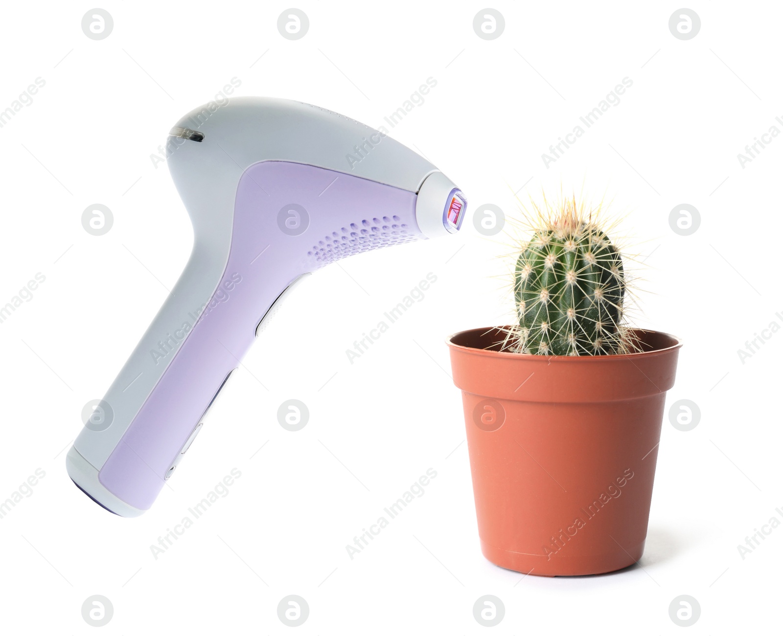 Hair removal concept. Cactus and modern photoepilator on white background Image of Hair removal concept. Cactus and modern photoepilator on white background