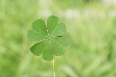 Green four leaf clover on blurred background, closeup Photo of Green four leaf clover on blurred background, closeup