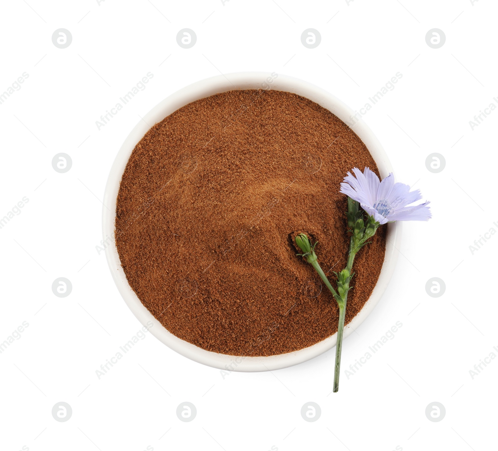 Plate of chicory powder and flower on white background, top view Photo of Plate of chicory powder and flower on white background, top view