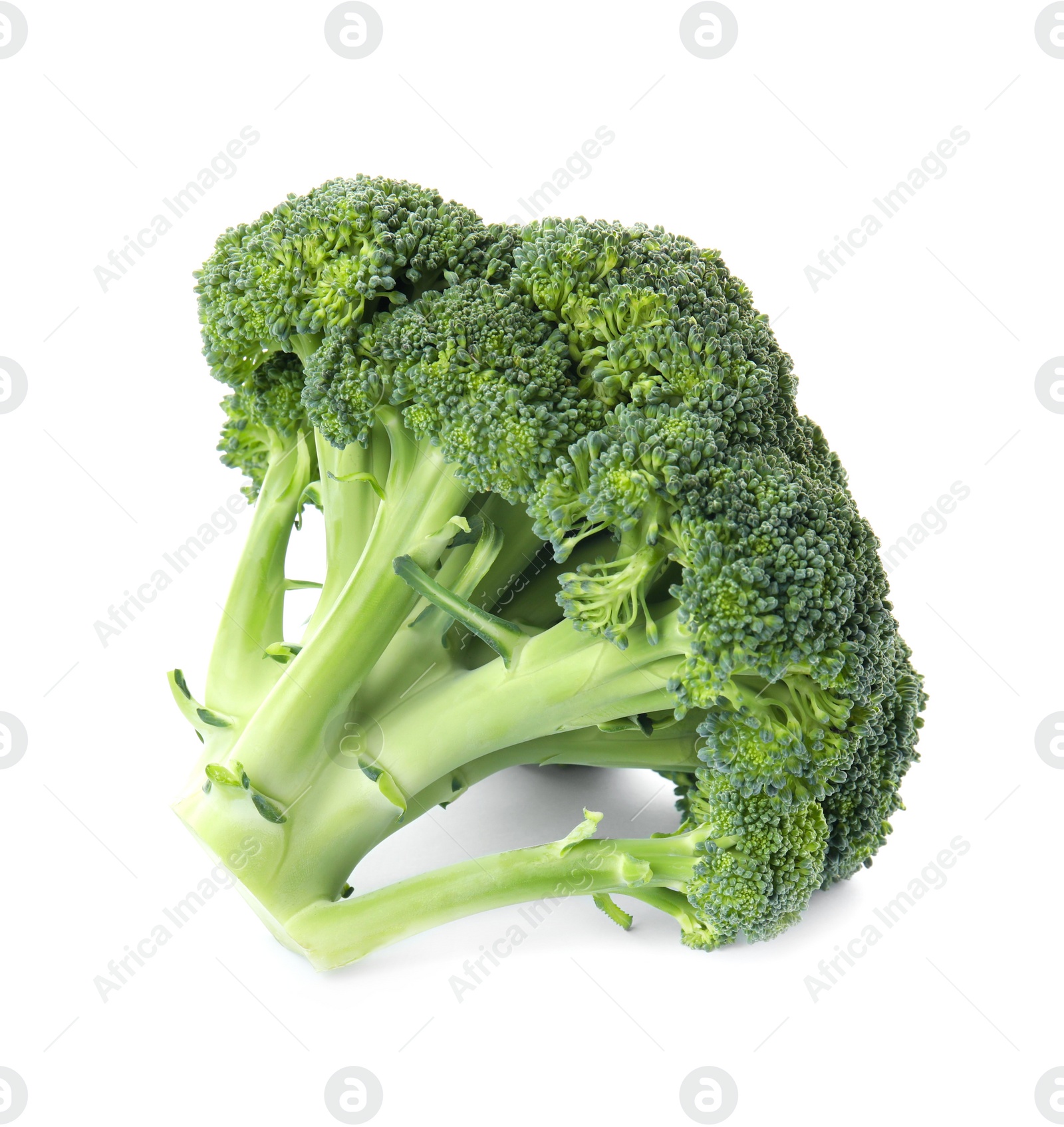 Fresh broccoli isolated on white. Edible green plant Photo of Fresh broccoli isolated on white. Edible green plant