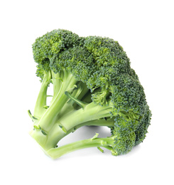 Fresh broccoli isolated on white. Edible green plant Photo of Fresh broccoli isolated on white. Edible green plant