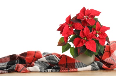 Red Poinsettia in pot and warm plaid on wooden table, space for text. Christmas traditional flower Photo of Red Poinsettia in pot and warm plaid on wooden table, space for text. Christmas traditional flower