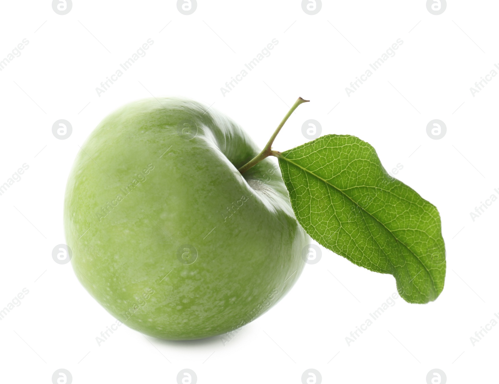 Fresh green apple with leaf on white background Photo of Fresh green apple with leaf on white background
