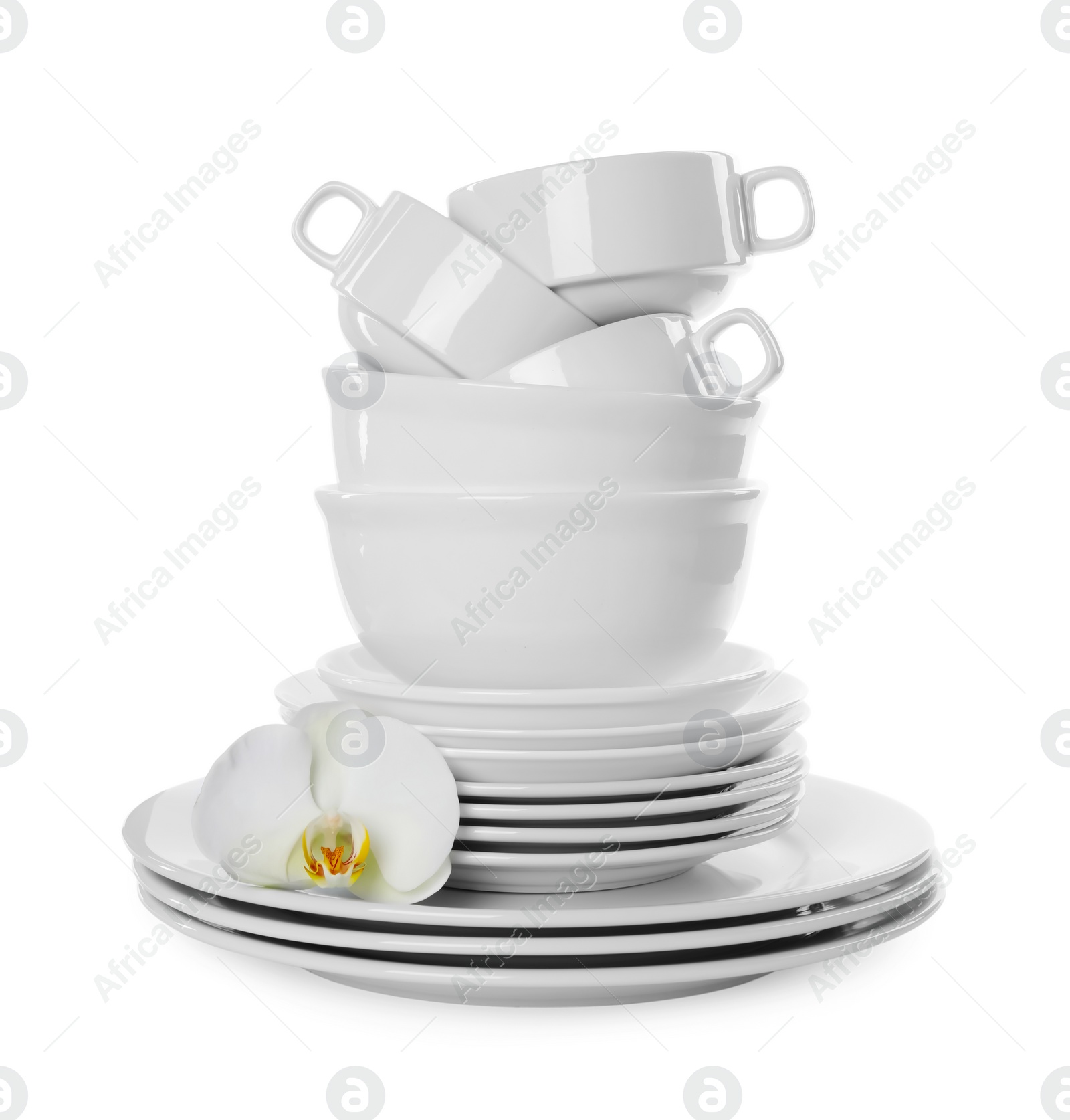 Set of dishware and flower on white background Photo of Set of dishware and flower on white background