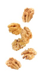 Halves of walnuts falling on white background Image of Halves of walnuts falling on white background