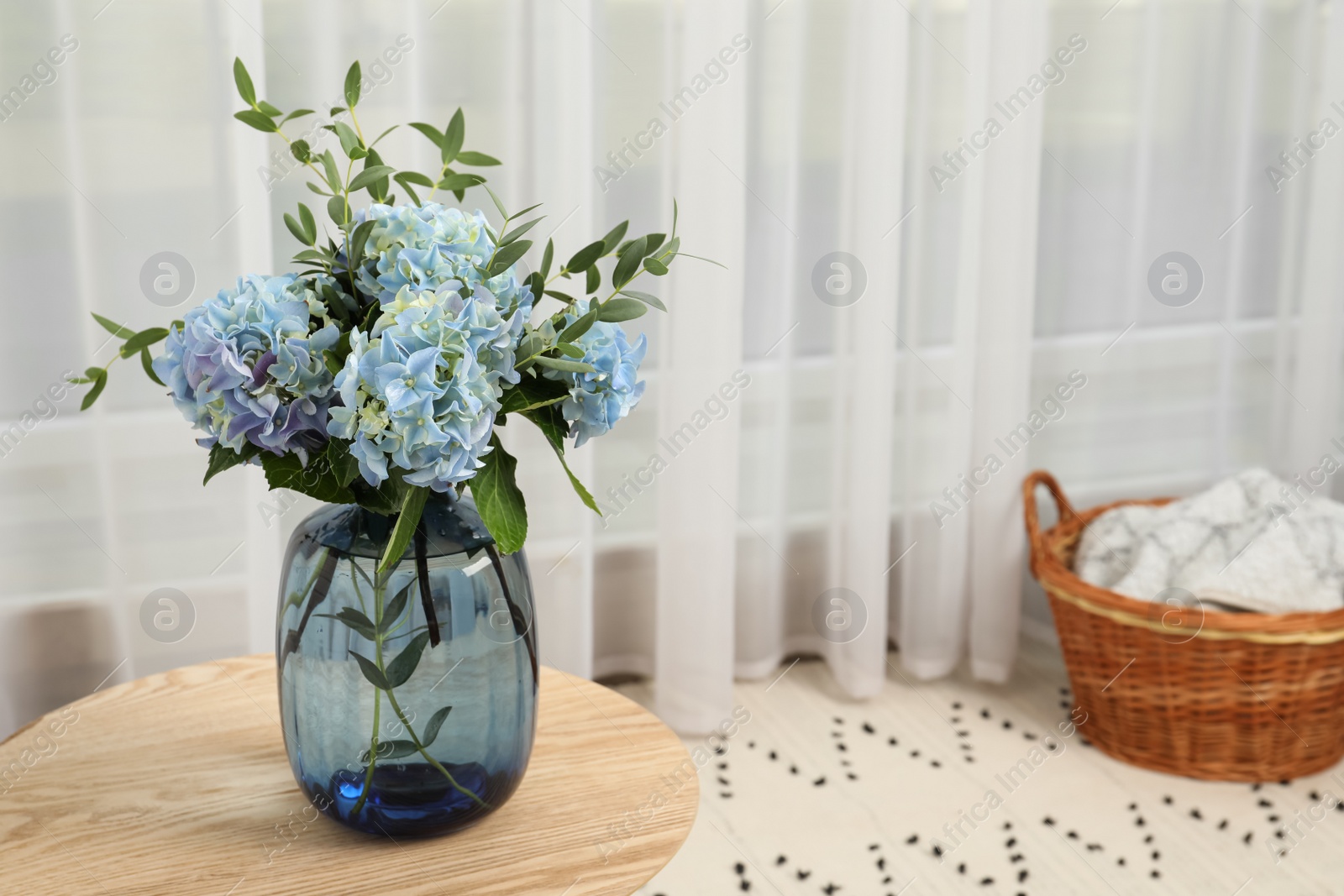 Beautiful blue hortensia flowers in vase on table indoors. Space for text Photo of Beautiful blue hortensia flowers in vase on table indoors. Space for text