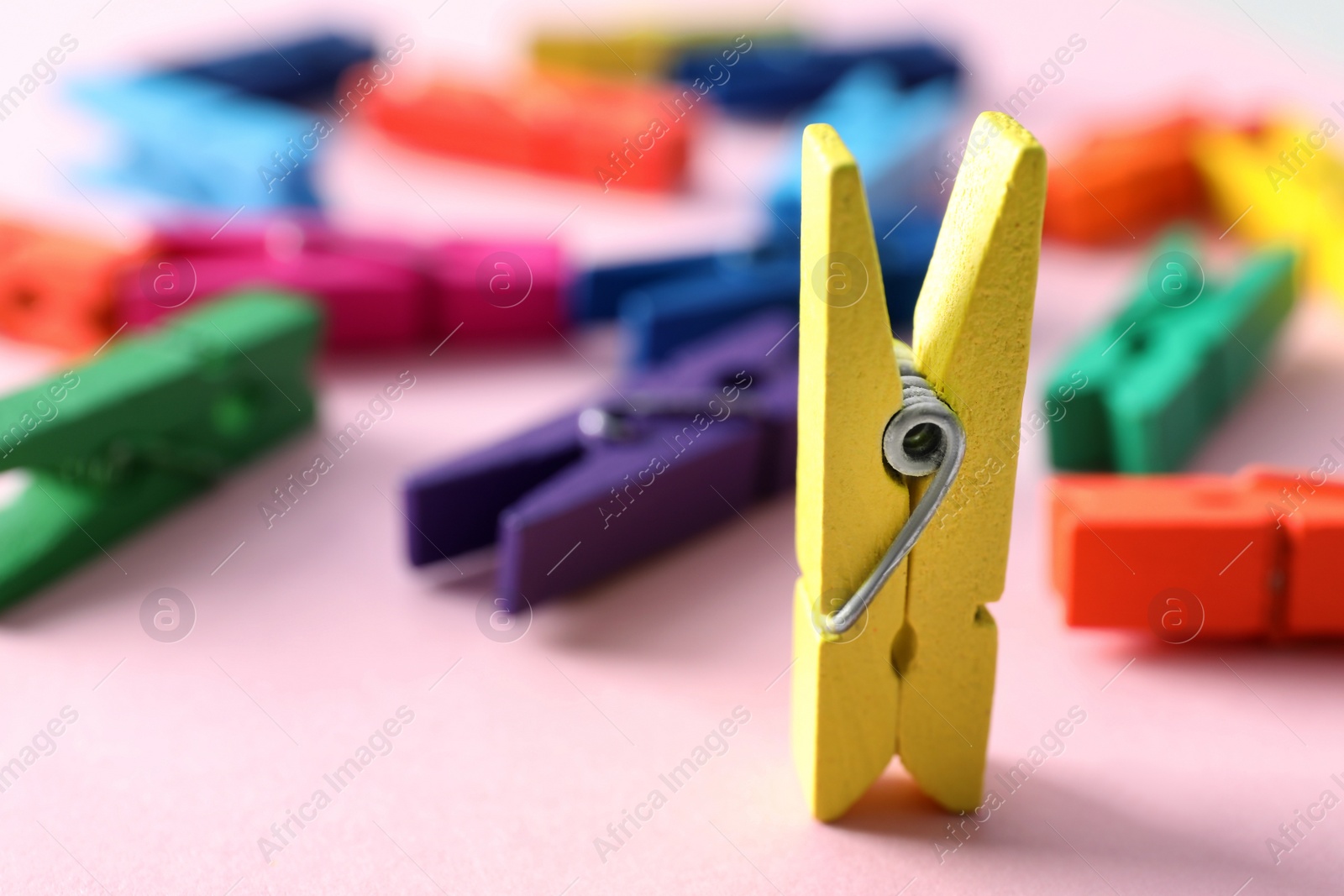Yellow clothespin standing among lying ones on pink background. Diversity concept Photo of Yellow clothespin standing among lying ones on pink background. Diversity concept