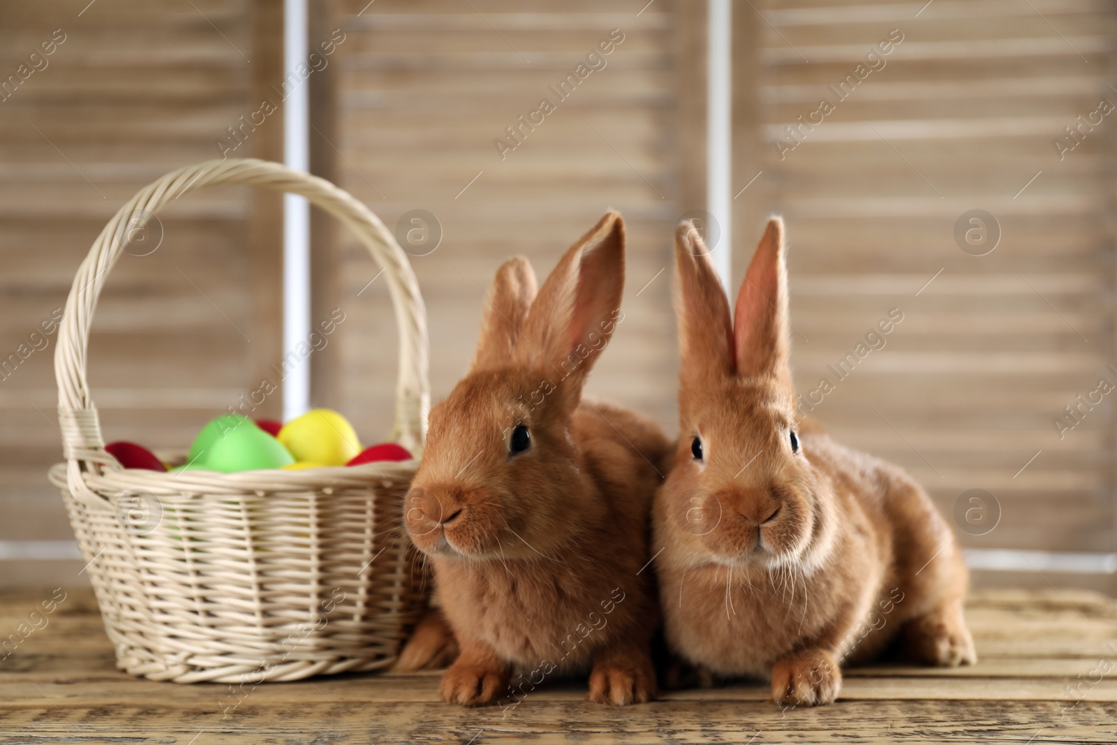 Cute bunnies and basket with Easter eggs on wooden table against blurred background Photo of Cute bunnies and basket with Easter eggs on wooden table against blurred background