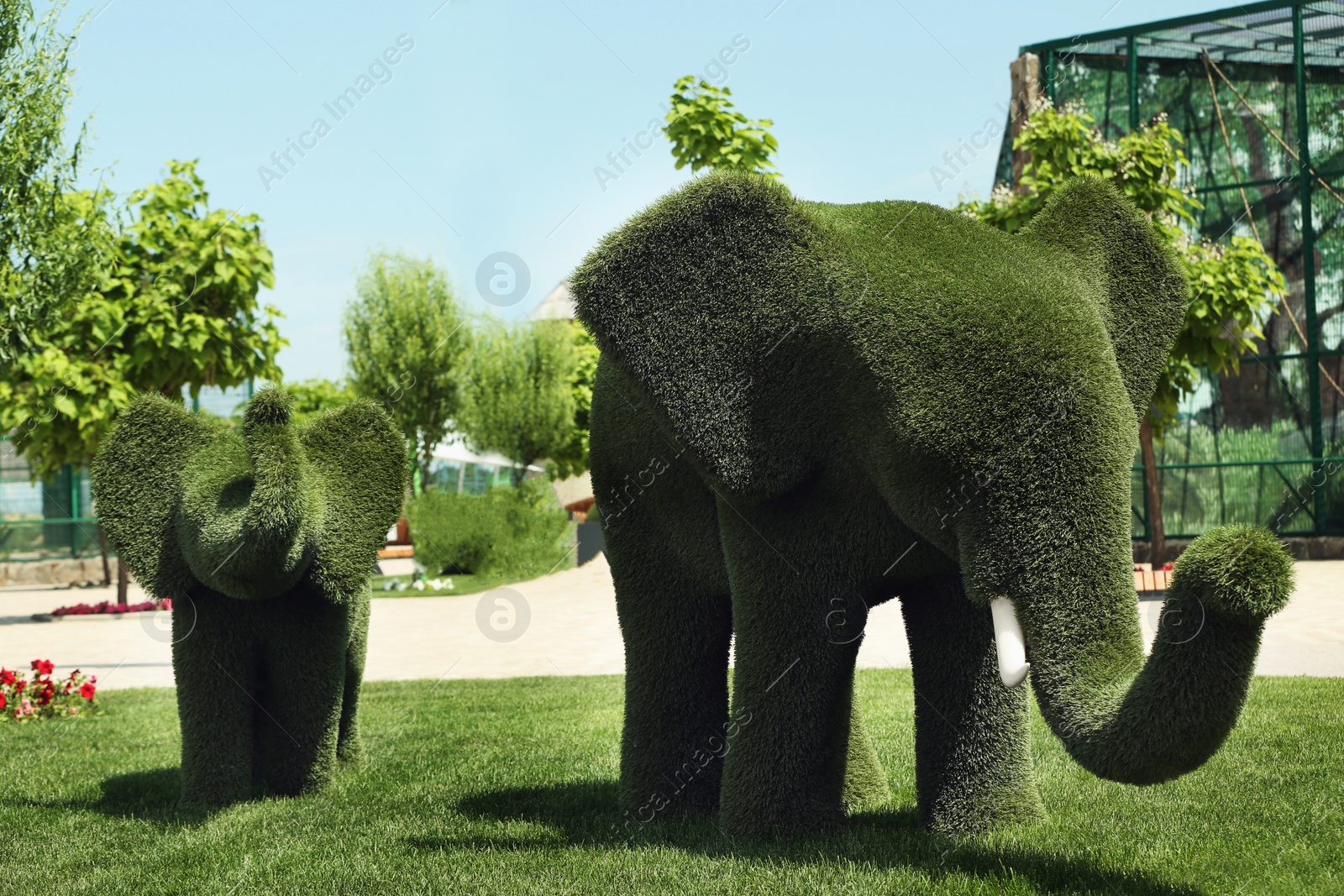 Beautiful elephant shaped topiaries at zoo on sunny day. Landscape gardening Photo of Beautiful elephant shaped topiaries at zoo on sunny day. Landscape gardening