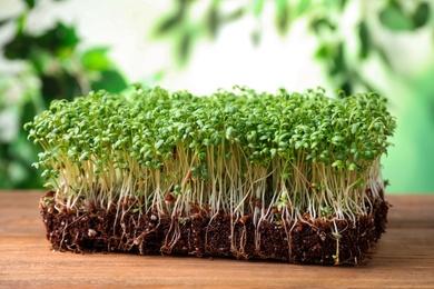 Fresh organic microgreen on wooden table, closeup view Photo of Fresh organic microgreen on wooden table, closeup view
