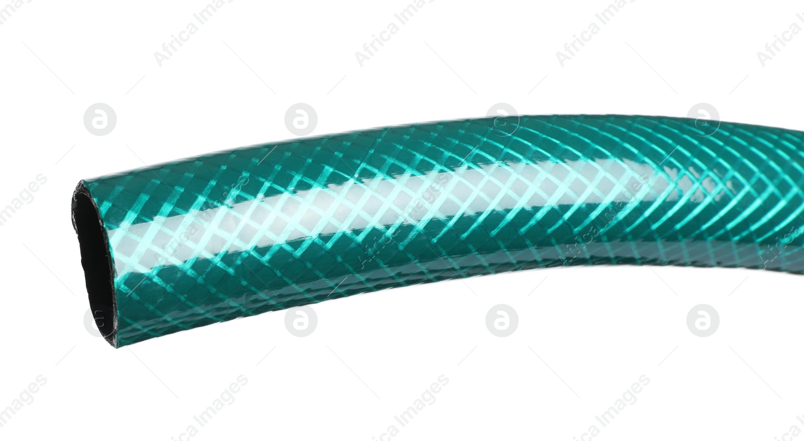 Watering hose isolated on white. Gardening tool Photo of Watering hose isolated on white. Gardening tool