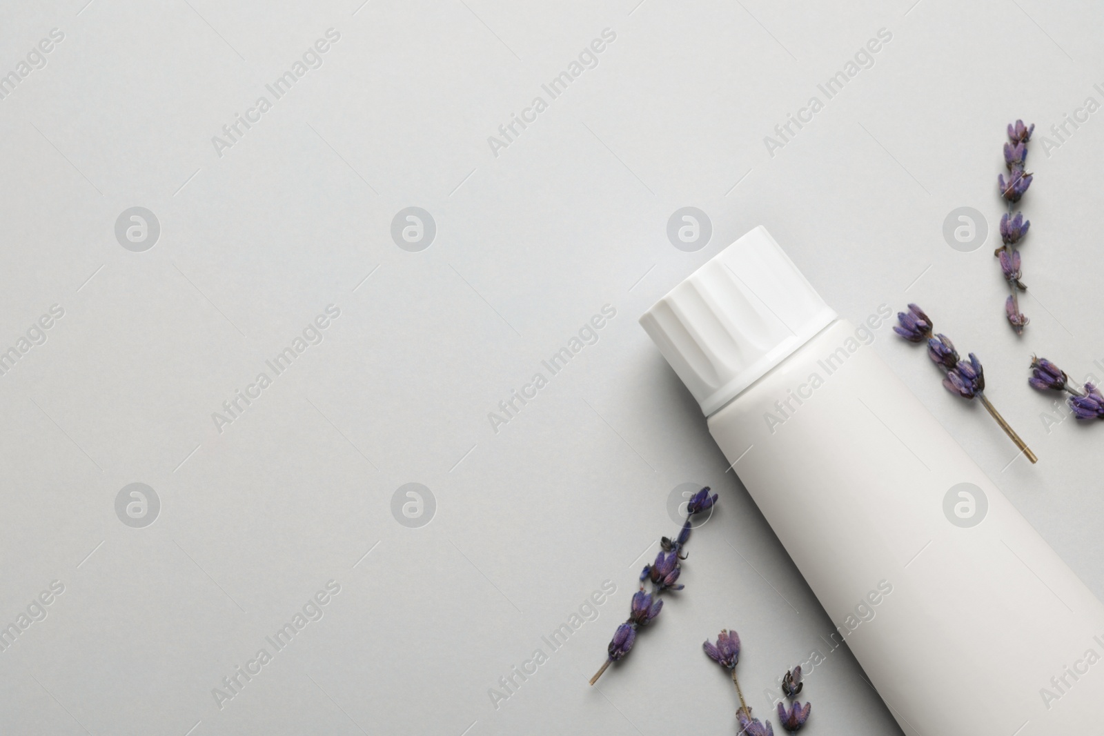 Blank tube of toothpaste with lavender flowers on white background, flat lay. Space for text Photo of Blank tube of toothpaste with lavender flowers on white background, flat lay. Space for text