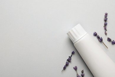 Blank tube of toothpaste with lavender flowers on white background, flat lay. Space for text Photo of Blank tube of toothpaste with lavender flowers on white background, flat lay. Space for text