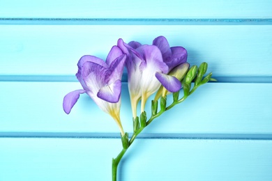 Beautiful freesia on wooden background Photo of Beautiful freesia on wooden background