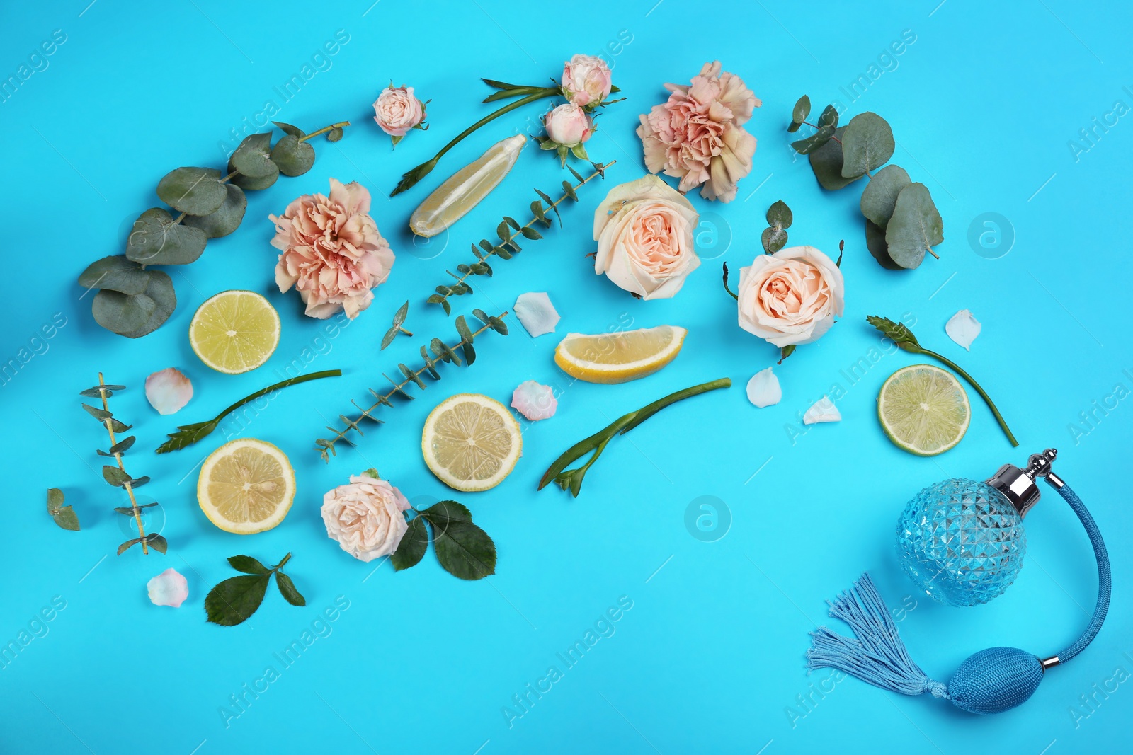 Beautiful flat lay composition with bottle of perfume, eucalyptus, citrus fruits and flowers on blue background Photo of Beautiful flat lay composition with bottle of perfume, eucalyptus, citrus fruits and flowers on blue background