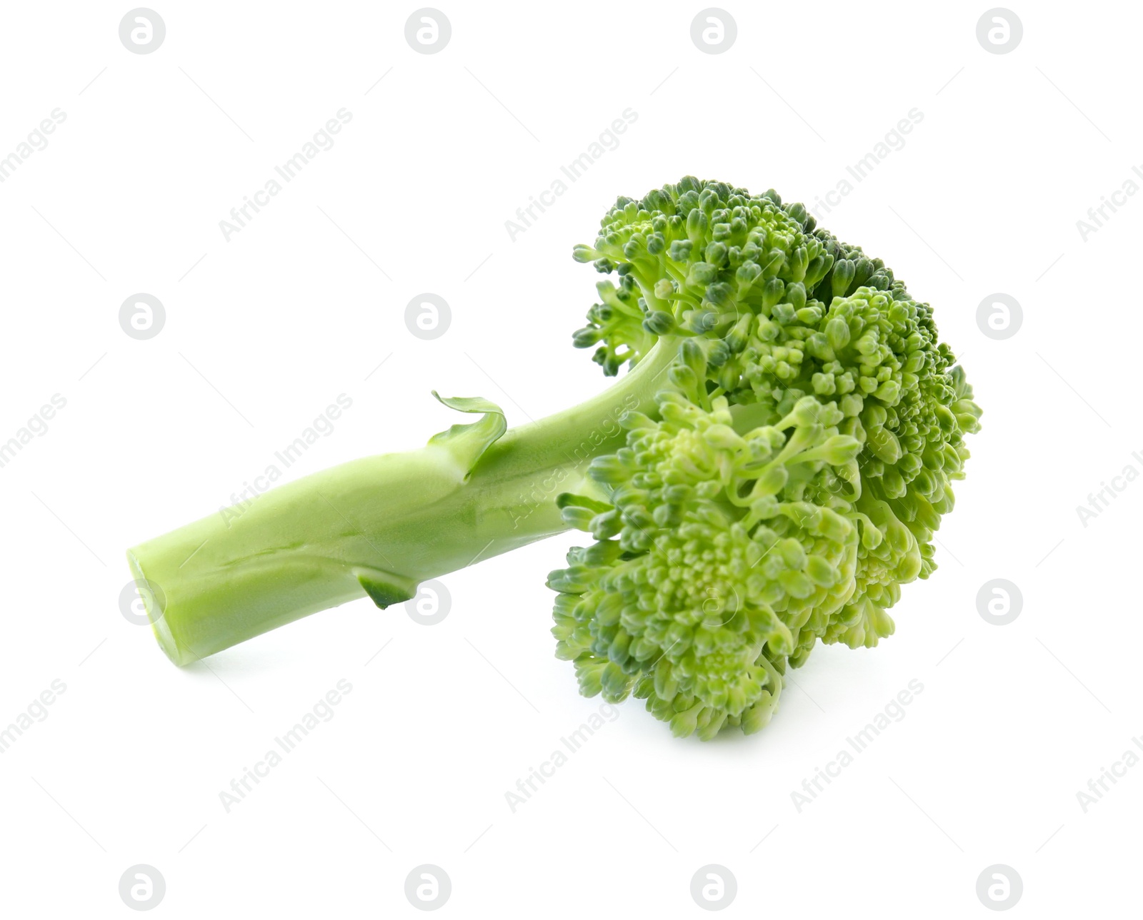 Photo of Fresh broccoli isolated on white. Edible green plant