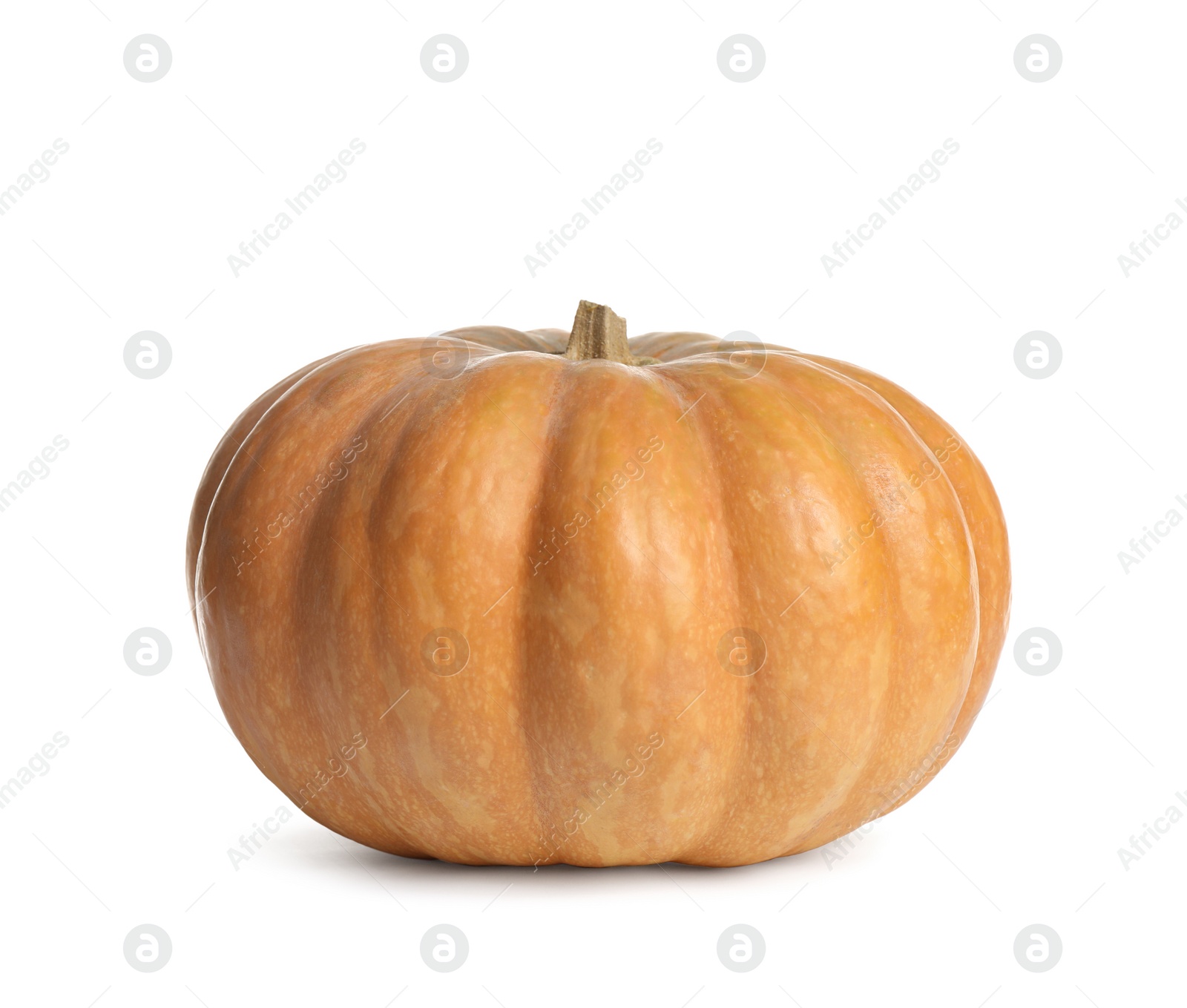 Photo of Fresh ripe pumpkin isolated on white background. Autumn season