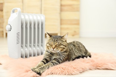 Cute tabby cat near electric heater at home Image of Cute tabby cat near electric heater at home