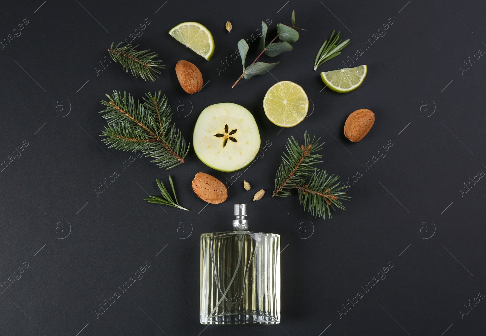 Flat lay composition with bottle of perfume on black background Photo of Flat lay composition with bottle of perfume on black background