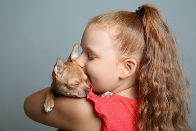 Little girl with her Chihuahua dog on grey background. Childhood pet Photo of Little girl with her Chihuahua dog on grey background. Childhood pet
