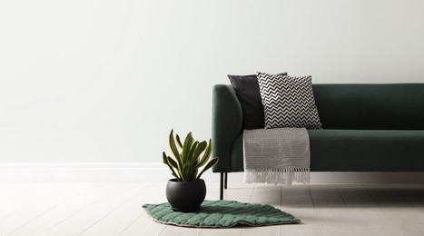 Stylish living room interior with comfortable green sofa and beautiful plant. Space for text Photo of Stylish living room interior with comfortable green sofa and beautiful plant. Space for text