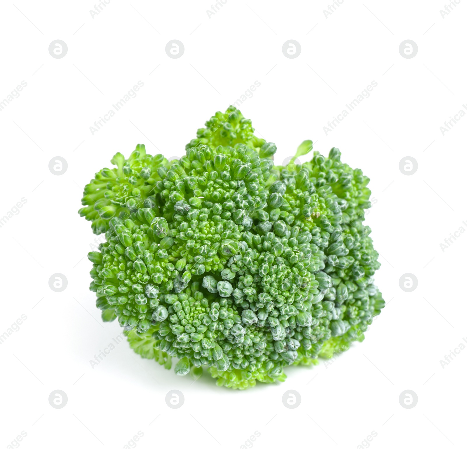 Fresh green raw broccoli on white background Photo of Fresh green raw broccoli on white background
