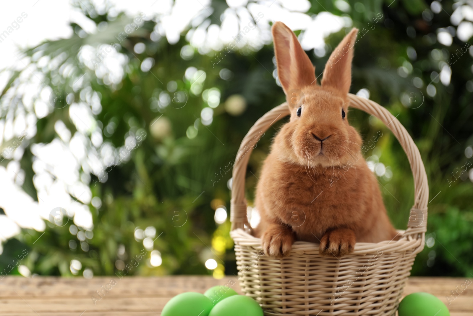 Cute bunny, basket and Easter eggs on table against blurred background. Space for text Photo of Cute bunny, basket and Easter eggs on table against blurred background. Space for text