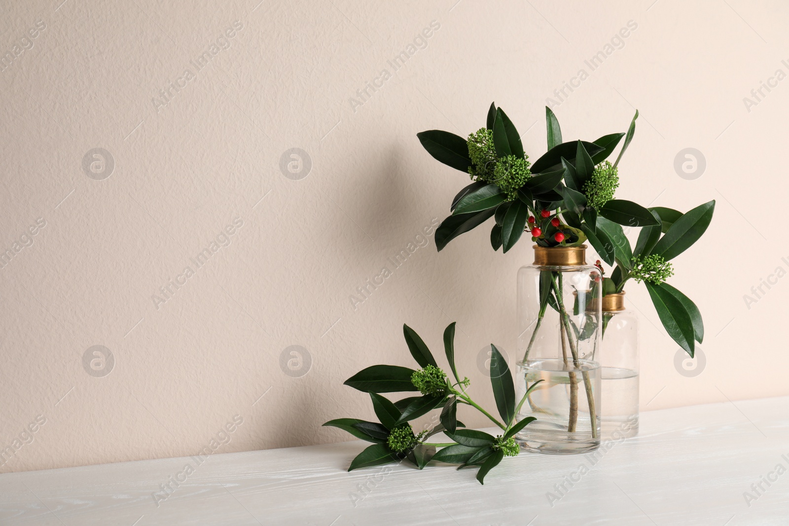 Vases with beautiful branches on white wooden table near beige wall. Space for text Photo of Vases with beautiful branches on white wooden table near beige wall. Space for text
