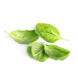 Fresh green basil leaves isolated on white Photo of Fresh green basil leaves isolated on white