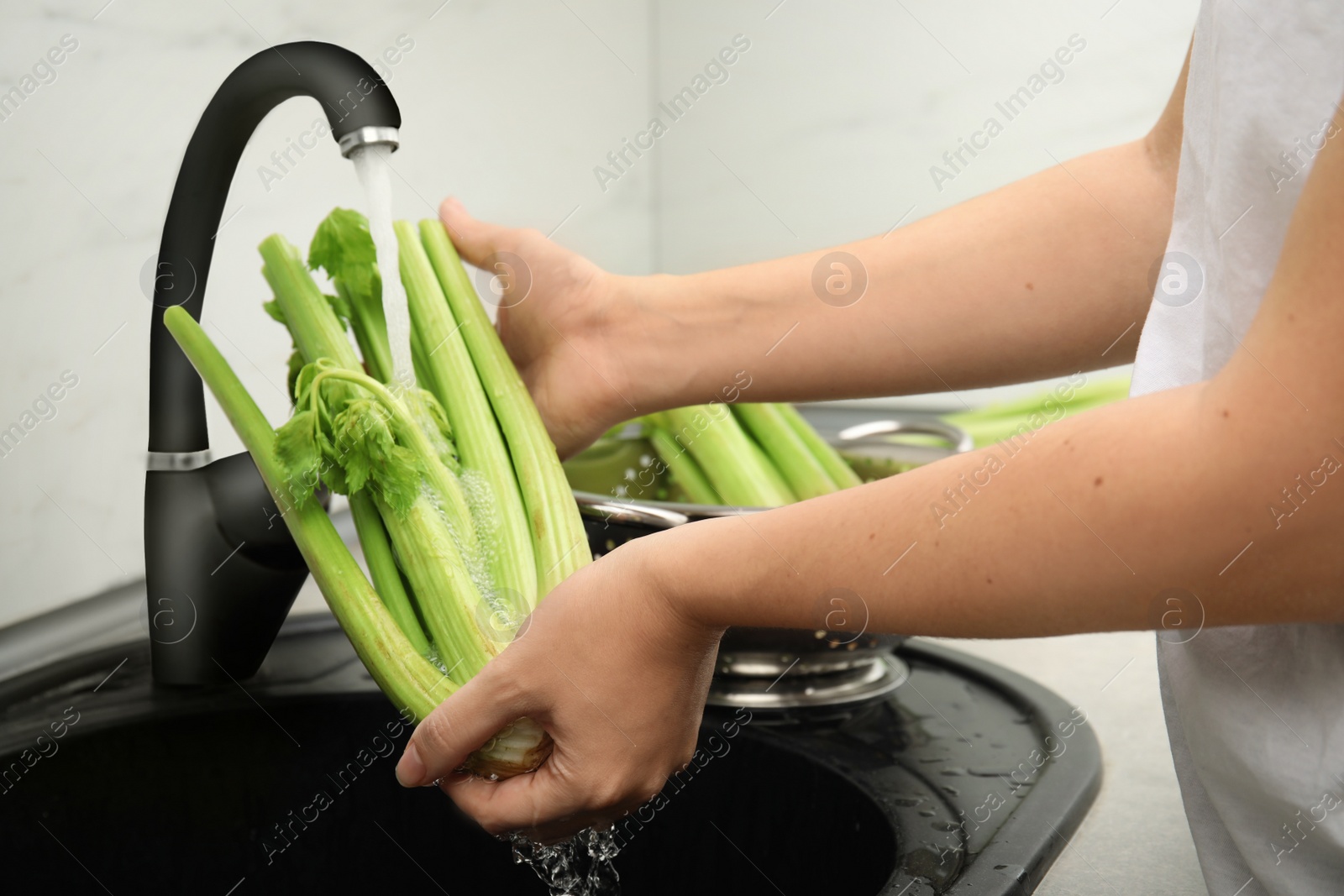Woman washing fresh green celery in kitchen sink, closeup Photo of Woman washing fresh green celery in kitchen sink, closeup