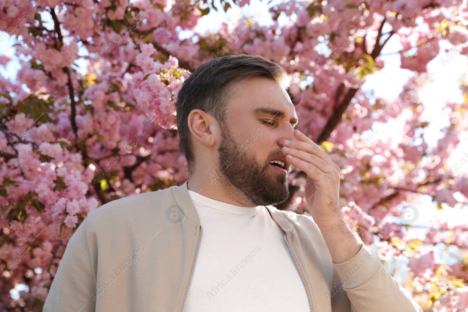Man suffering from seasonal pollen allergy near blossoming tree outdoors Photo of Man suffering from seasonal pollen allergy near blossoming tree outdoors