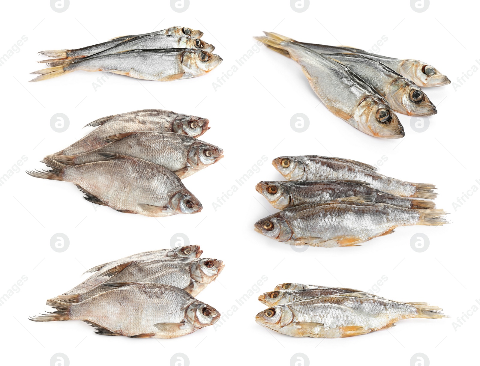 Set of tasty dry fish on white background Image of Set of tasty dry fish on white background