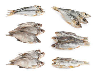 Set of tasty dry fish on white background Image of Set of tasty dry fish on white background