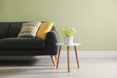 Stylish comfortable sofa in room, space for text. Interior design Photo of Stylish comfortable sofa in room, space for text. Interior design