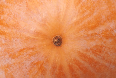 Ripe orange pumpkin as background, closeup view Photo of Ripe orange pumpkin as background, closeup view