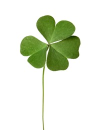 Fresh green clover leaf isolated on white Photo of Fresh green clover leaf isolated on white