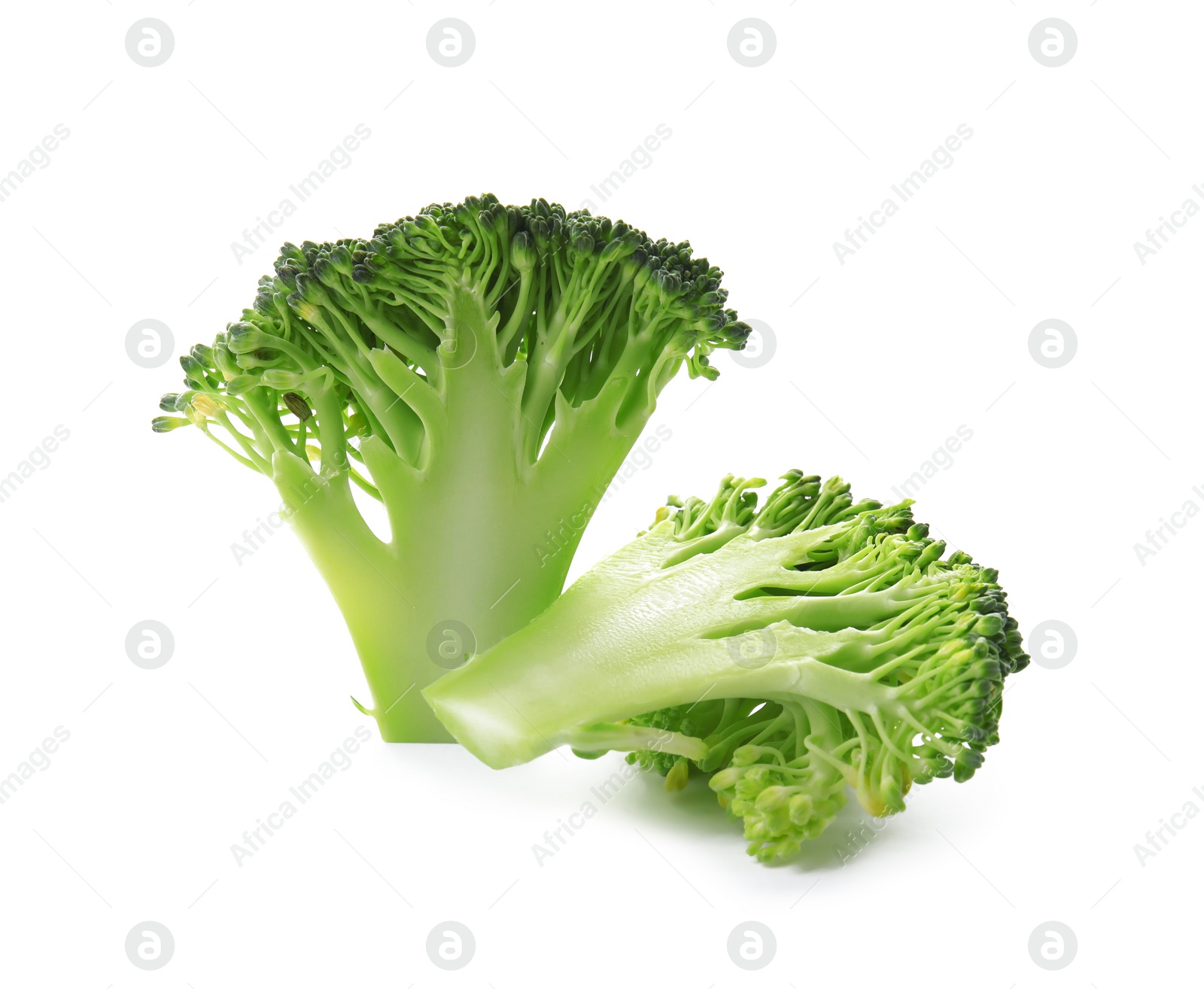 Fresh broccoli isolated on white. Edible green plant Photo of Fresh broccoli isolated on white. Edible green plant