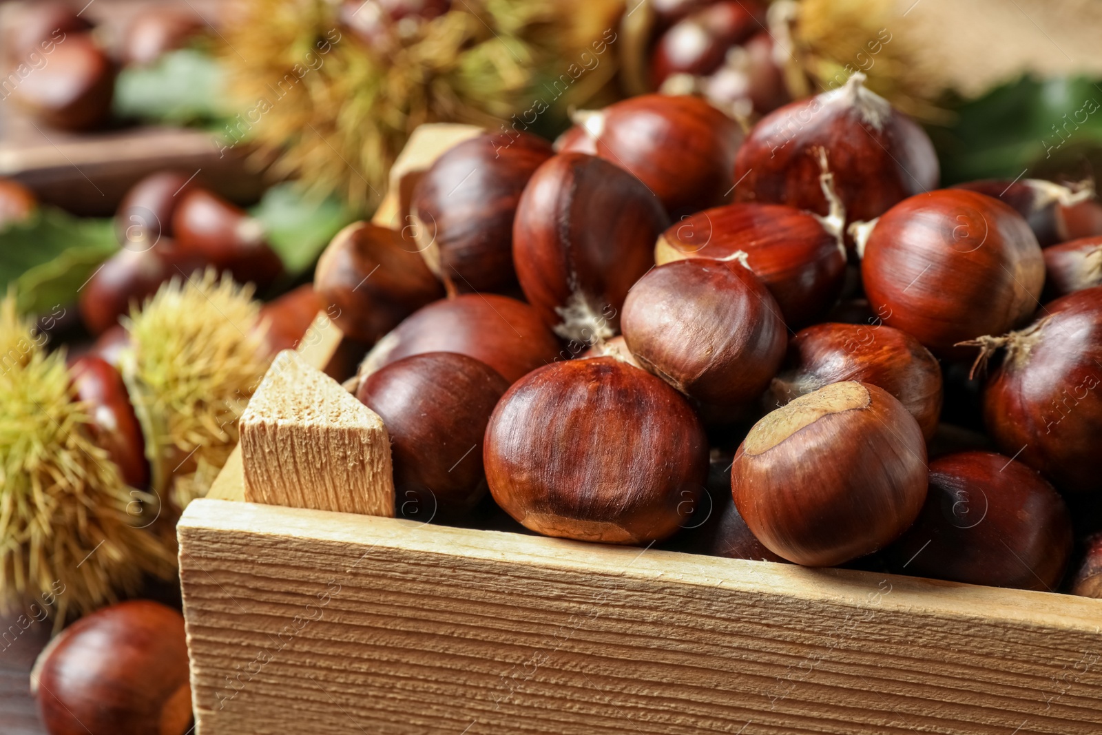 Fresh sweet edible chestnuts in wooden crate, closeup Photo of Fresh sweet edible chestnuts in wooden crate, closeup
