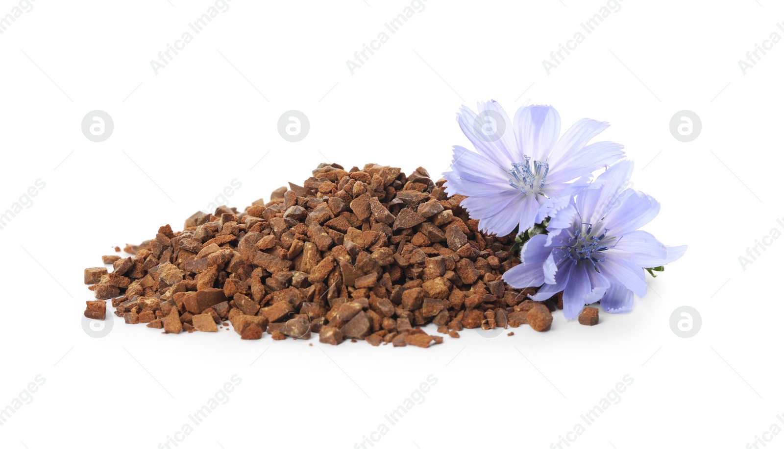 Pile of chicory granules and flowers on white background Photo of Pile of chicory granules and flowers on white background