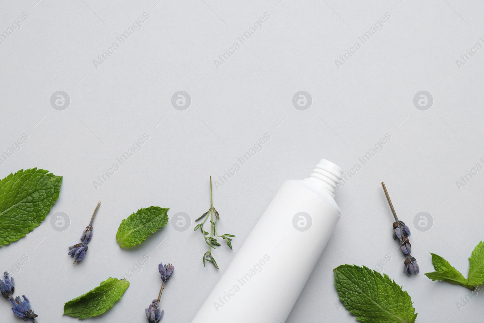 Blank tube of toothpaste, mint, thyme and lavender flowers on white background, flat lay. Space for text Photo of Blank tube of toothpaste, mint, thyme and lavender flowers on white background, flat lay. Space for text