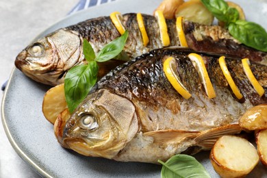 Tasty homemade roasted crucian carps with garnish on light grey table, closeup. River fish Photo of Tasty homemade roasted crucian carps with garnish on light grey table, closeup. River fish