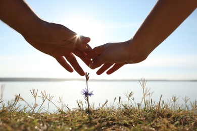 Couple holding hands over blooming flower outdoors, closeup. Nature healing power Photo of Couple holding hands over blooming flower outdoors, closeup. Nature healing power