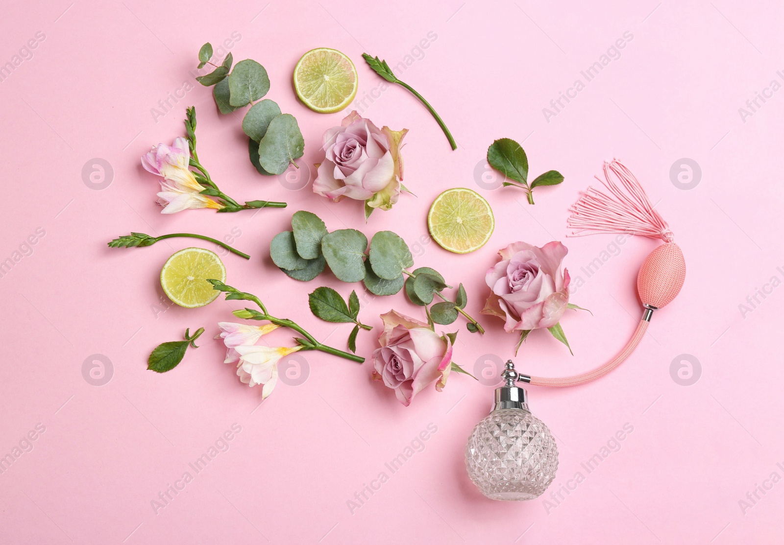 Beautiful flat lay composition with bottle of perfume, lime, eucalyptus and flowers on pink background Photo of Beautiful flat lay composition with bottle of perfume, lime, eucalyptus and flowers on pink background