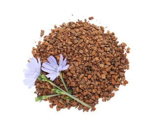 Pile of chicory granules and flowers on white background, top view Photo of Pile of chicory granules and flowers on white background, top view