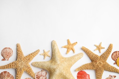 Beautiful sea stars and shells on white background, flat lay. Space for text Photo of Beautiful sea stars and shells on white background, flat lay. Space for text