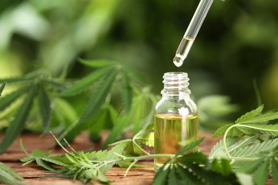 Dripping THC tincture or CBD oil into bottle on wooden table with hemp leaves. Space for text Photo of Dripping THC tincture or CBD oil into bottle on wooden table with hemp leaves. Space for text