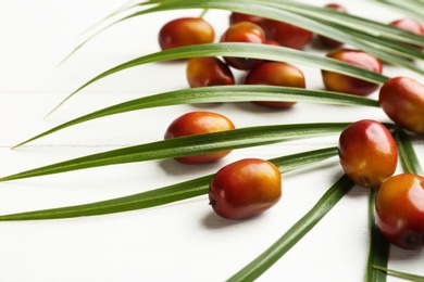 Palm oil fruits on white wooden table, closeup Photo of Palm oil fruits on white wooden table, closeup