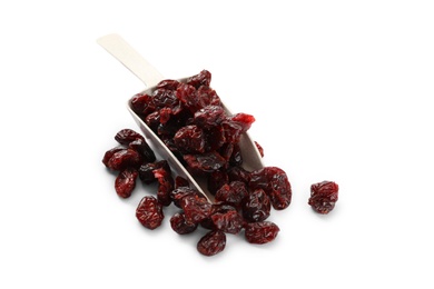 Tasty dried cranberries and scoop isolated on white Photo of Tasty dried cranberries and scoop isolated on white