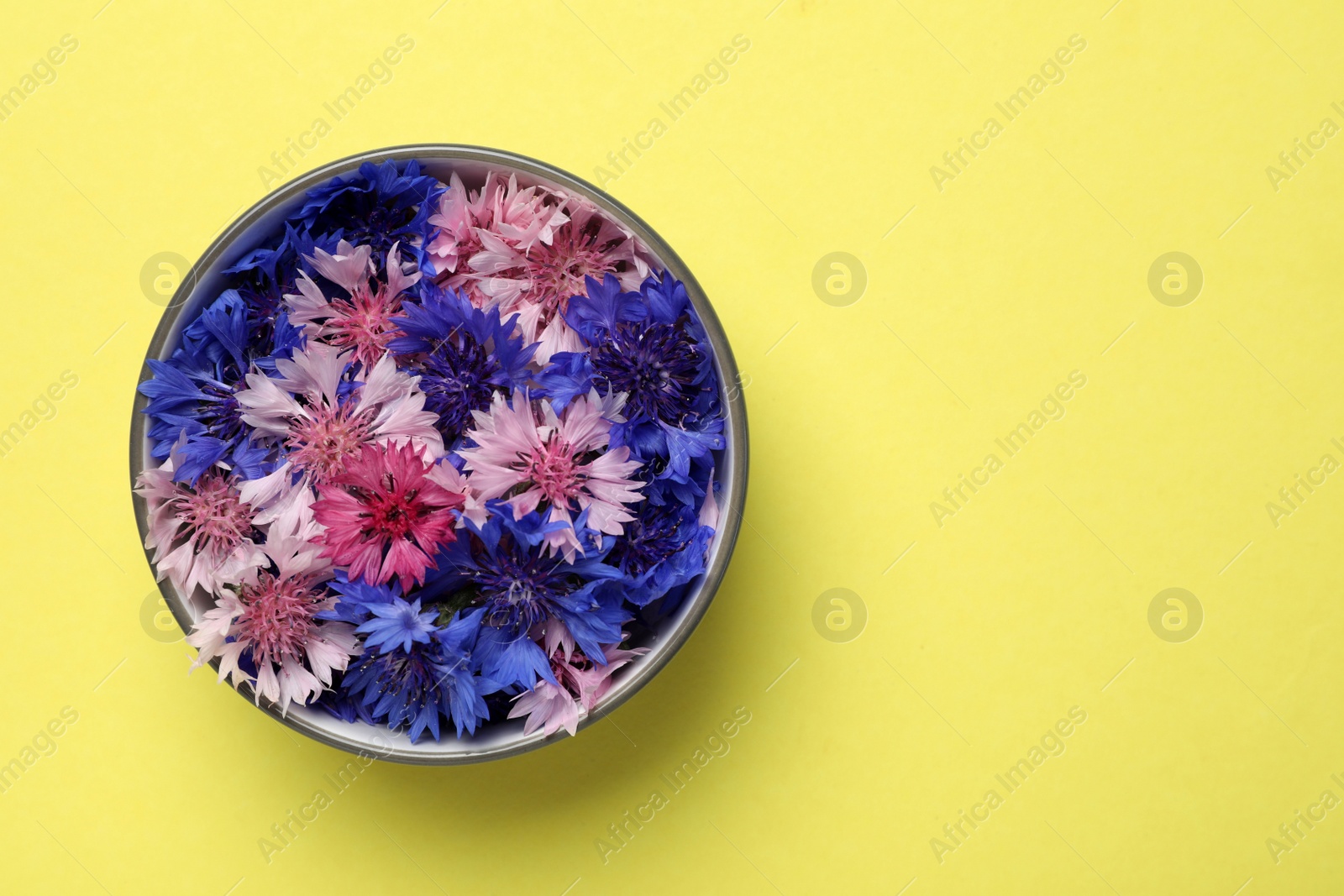 Beautiful colorful cornflowers in bowl on yellow background, top view. Space for text Photo of Beautiful colorful cornflowers in bowl on yellow background, top view. Space for text